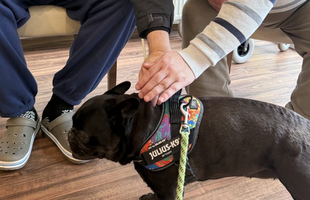 10.11.2025 – Vierbeiniger Besuch!